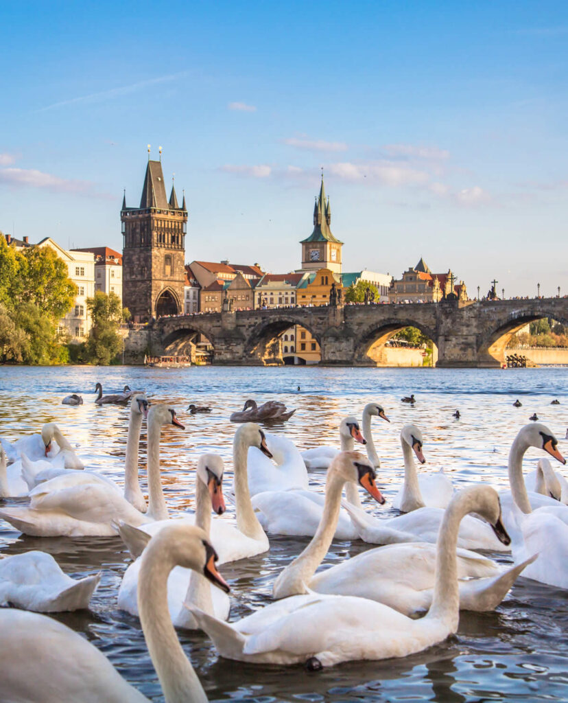 White Swan Apartments Your in Centre of Prague